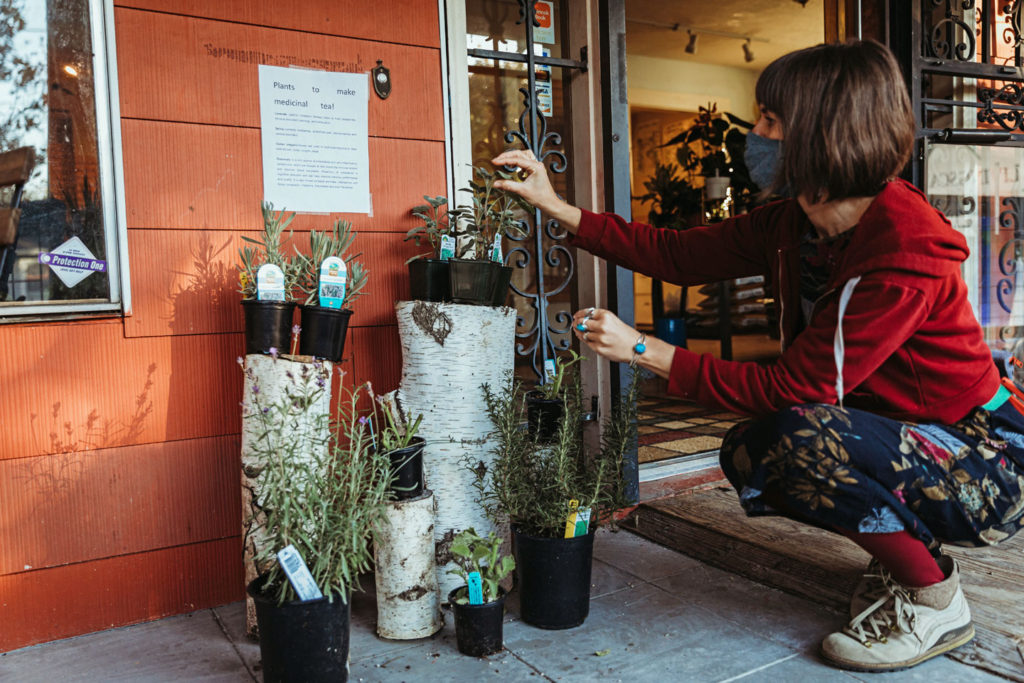 plant care resources